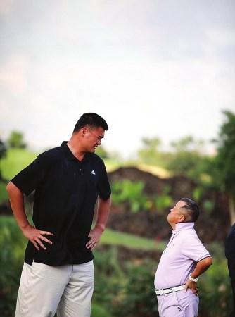 相较之下