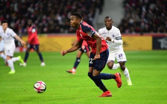 保护资产避 保护资产避